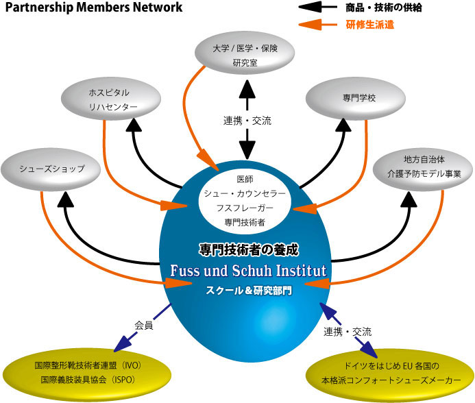 FSIのネットワーク図